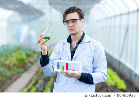 Scientist using test tube. Scientist work at Vegetable Garden Lab site.  90466956