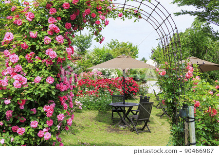 初夏盛開的九重花卉公園 90466987