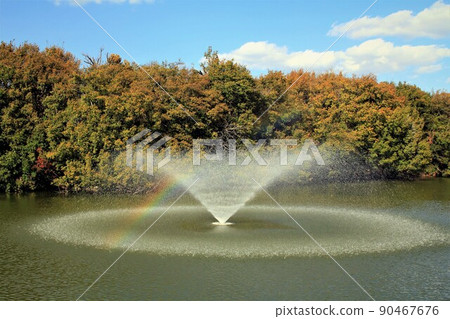 明石縣立公園的噴泉和彩虹 明石縣立公園的噴泉和彩虹 90467676