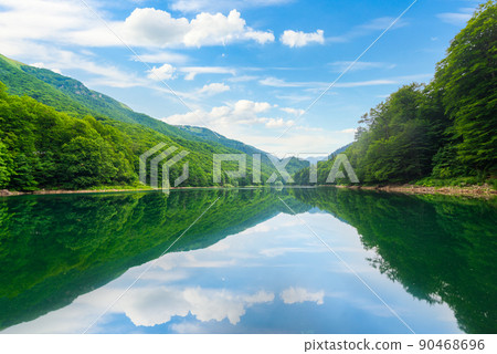 Reflection in Biogradskoe Lake Reflection in Biogradskoe Lake 90468696