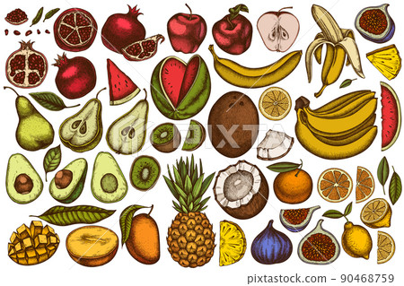 Fruits hand drawn vector illustrations collection. Colored bananas, pears, kiwi etc. 90468759