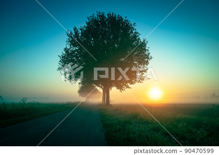 Blueish Spring scenic countryside landscape with a tree on flowers or farm field with deep sun in 90470599