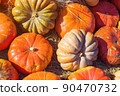 Pumpkin on the hay 90470732