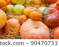 Autumn agricultural products 90470733