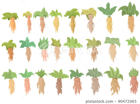 Mandrake icons set cartoon vector. Alchemy ancient. Botany carrot 90472065