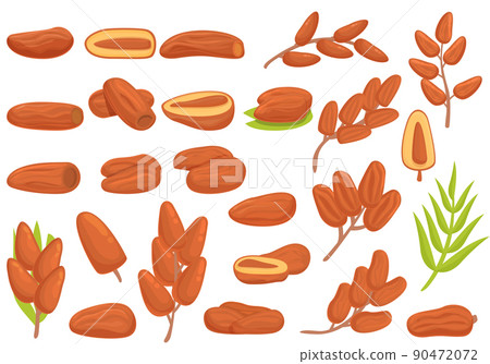 Date fruit icons set cartoon vector. Leaf food. Branch dried Date fruit icons set cartoon vector. Leaf food. Branch dried 90472072