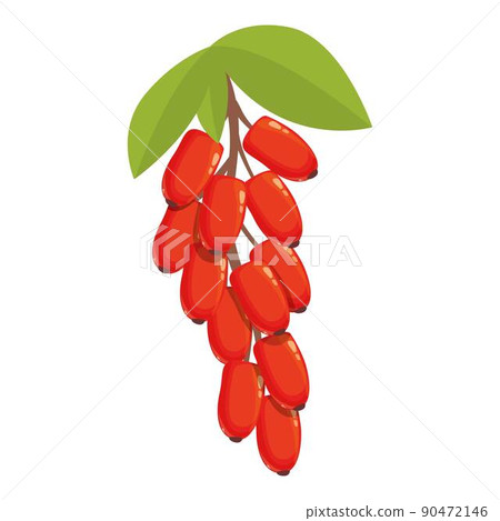 Organic barberry icon cartoon vector. Berberis fruit. Goji plant 90472146