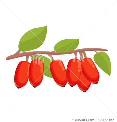 Barberry icon cartoon vector. Fruit goji. Healthy food Barberry icon cartoon vector. Fruit goji. Healthy food 90472162