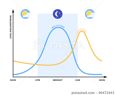 Sleep wake cycle 90472843