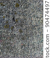 texture gray old concrete overgrown with moss. 90474497
