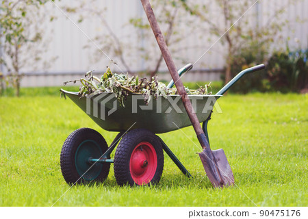 Wheelbarrow in the backyard, green lawn, shovel, uprooted weeds, garden work Wheelbarrow in the backyard, green lawn, shovel, uprooted weeds, garden work 90475176