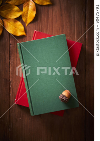 秋季閱讀圖像書籍和落葉 90475791