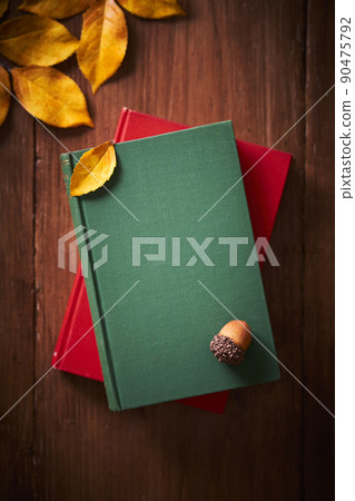 秋季閱讀圖像書籍和落葉 90475792