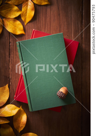 秋季閱讀圖像書籍和落葉 90475793