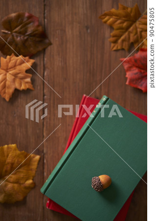 秋季閱讀圖像書籍和落葉 90475805