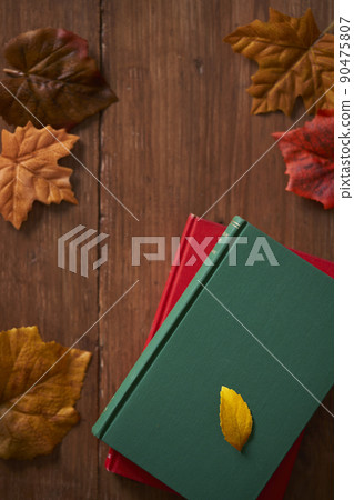 秋季閱讀圖像書籍和落葉 90475807