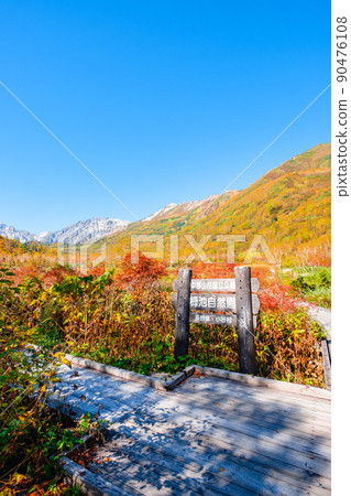 Tsugaike Nature Garden (Autumn) Tsugaike Nature Garden (Autumn) 90476108
