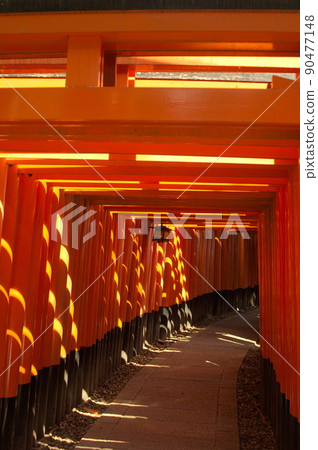 Senbon Torii of Fushimi Inari Taisha Shrine Senbon Torii of Fushimi Inari Taisha Shrine 90477148