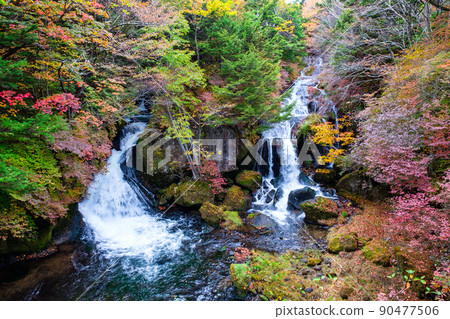 龍津瀑布（秋季） 90477506
