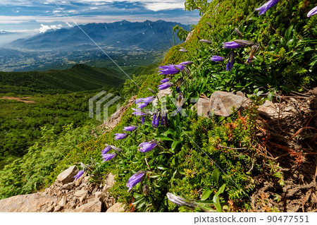Yatsugatake Mountain Range, Gongen-dake Iwagikyo and the mountain range of the Southern Alps 90477551