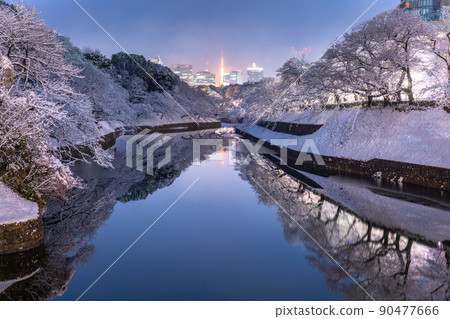 《Tokyo》 Snow-covered Tokyo, Chidorigafuchi in the snowy landscape 《Tokyo》 Snow-covered Tokyo, Chidorigafuchi in the snowy landscape 90477666