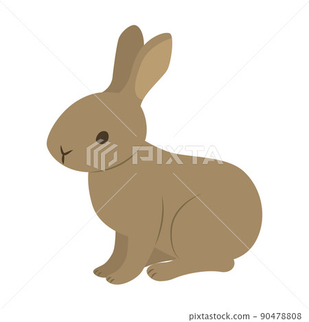 Illustration of wild rabbit 90478808