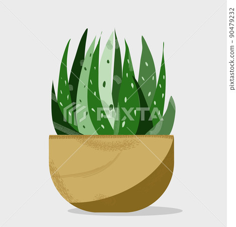 Ceramic containers and vase with cactus Ceramic containers and vase with cactus 90479232