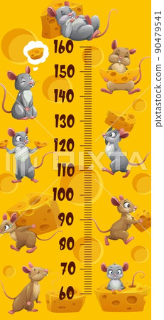 Cartoon funny cute mouse and mice with cheese, kids height chart, vector growth measure ruler. Meter scale with mouse eating or stealing cheese, mice characters on cheese hole background 90479541