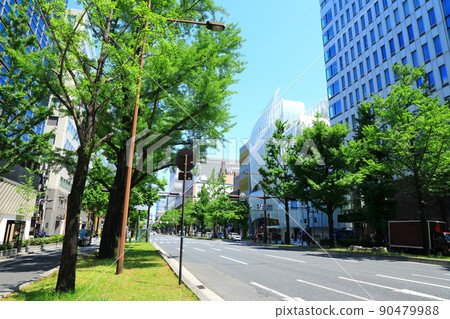 禦堂筋，一排新鮮的綠色銀杏樹 90479988