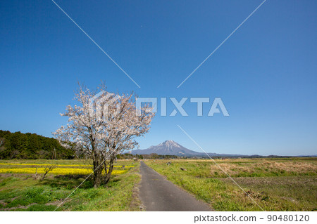 Oyama seen from Hoki Town, Saihaku District, Tottori Prefecture 90480120
