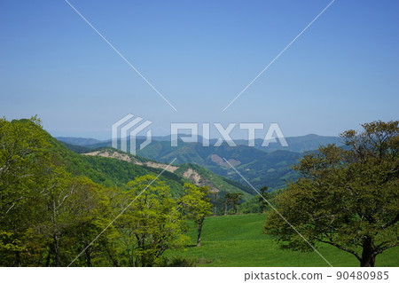 Fresh green Usemizu Makino Fresh green Usemizu Makino 90480985