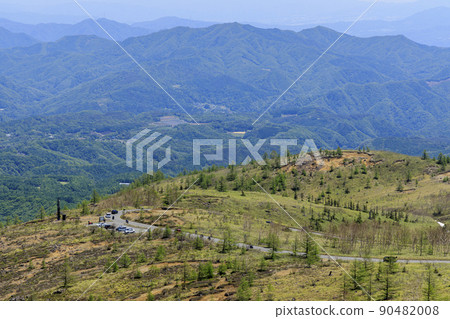 白根 白根 90482008