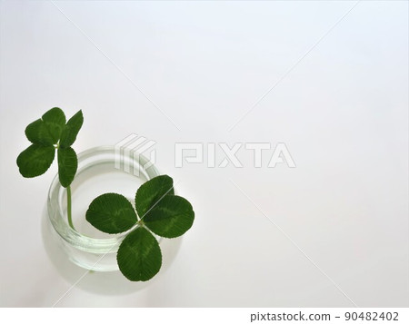 四葉草的幸福 四葉草的幸福 90482402