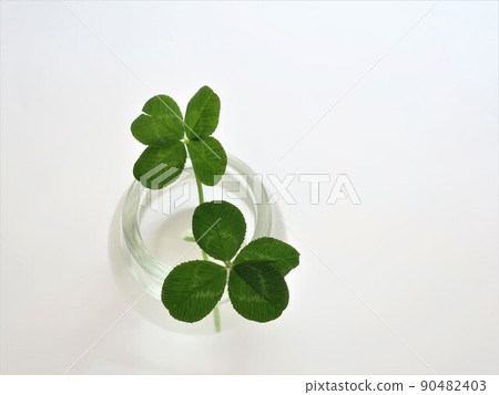 四葉草的幸福 四葉草的幸福 90482403