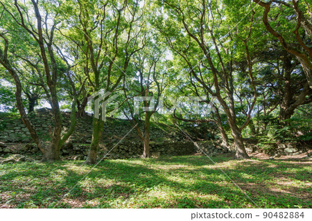 《佐賀縣》名古屋城/名古屋城本丸遺跡_唐津市 《佐賀縣》名古屋城/名古屋城本丸遺跡_唐津市 90482884