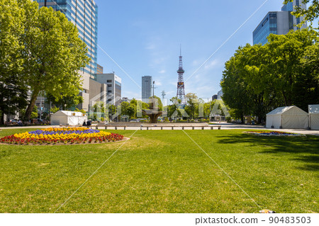 札幌電視塔札幌大通公園 札幌電視塔札幌大通公園 90483503