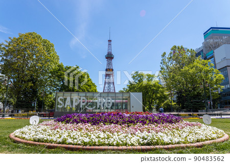 札幌電視塔札幌大通公園 札幌電視塔札幌大通公園 90483562