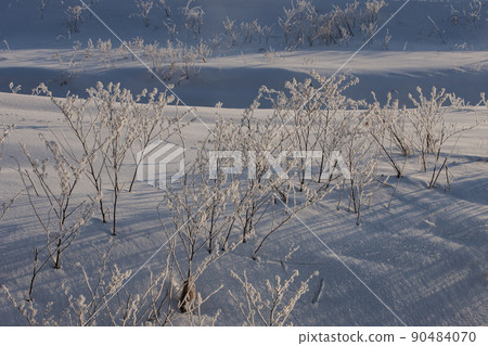 Frigid hill Frigid hill 90484070