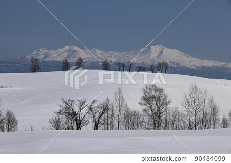 Frigid hill 90484099