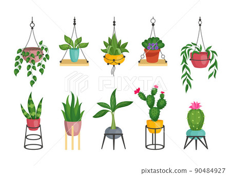 Macrame plant pots. Handmade rope holder for succulent flowerpot. Isolated houseplants with green leaves and blossoms in cartoon style. Home garden collection. Flat vector potted room flowers set Macrame plant pots. Handmade rope holder for succulent flowerpot. Isolated houseplants with green leaves and blossoms in cartoon style. Home garden collection. Flat vector potted room flowers set 90484927