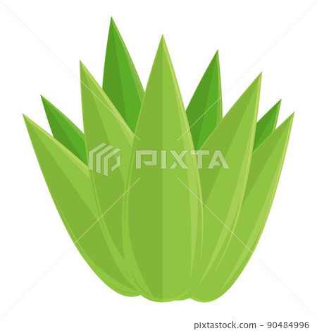 Tequila cactus icon cartoon vector. Glass shot. Mexican lime Tequila cactus icon cartoon vector. Glass shot. Mexican lime 90484996