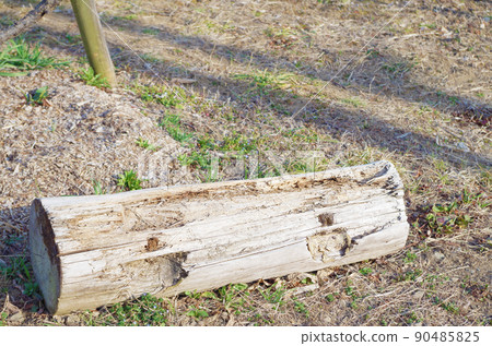Resting logs placed in the park 90485825