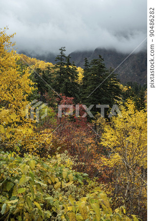 Autumn leaves of Tokachidake Autumn leaves of Tokachidake 90486282