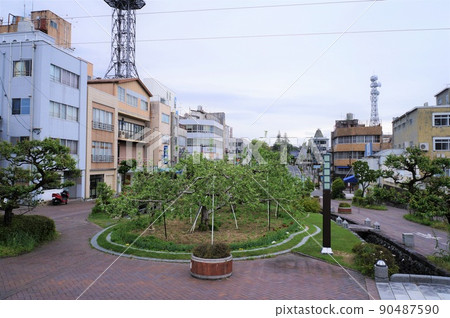 Ringo Namiki Dori [Iida City, Nagano Prefecture] 90487590