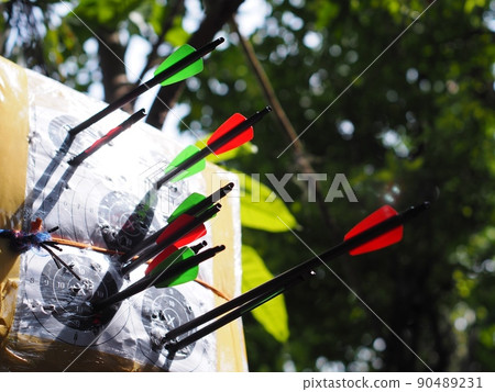 black glass carbon fibre archery crossbow bolts with red and green colour vanes on house-made practice target in private backyard garden outdoor with authentic summer plant blur in background 90489231