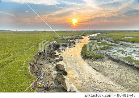 Tidal channel marshland Ameland 90491445