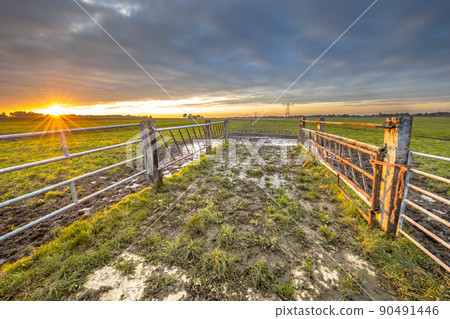 Sunset over gate in lowland meadow Sunset over gate in lowland meadow 90491446