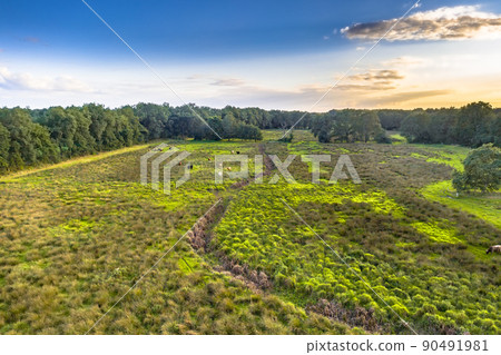 Aerial view of river valley scene in Drenthe Aerial view of river valley scene in Drenthe 90491981