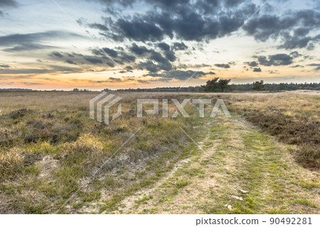 Natural heathland landscape near Hijken Natural heathland landscape near Hijken 90492281
