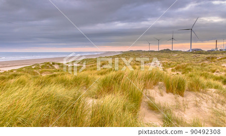 Landscape view of sand dune on the North sea coast 90492308